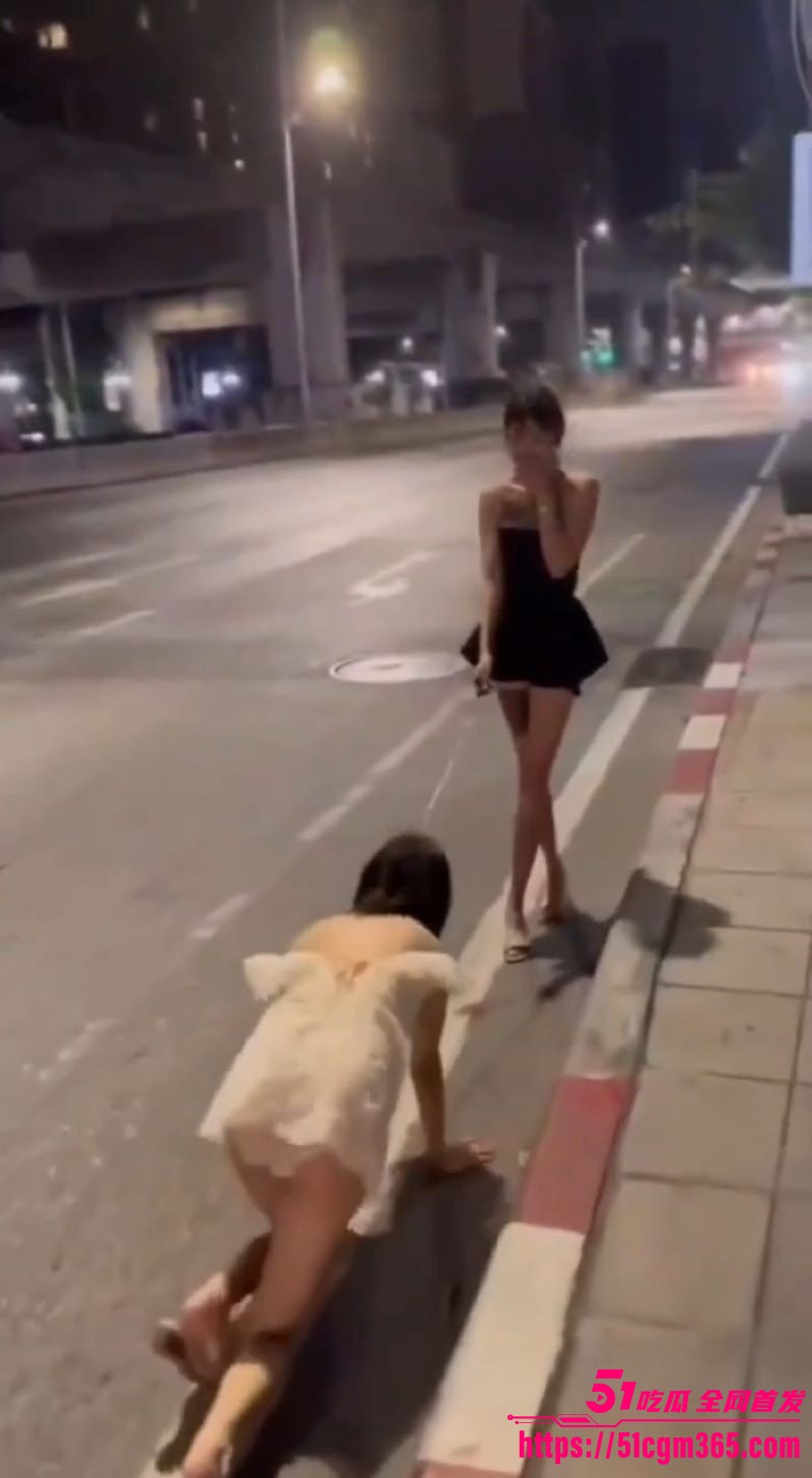 广东街头小仙女爬行调教 4