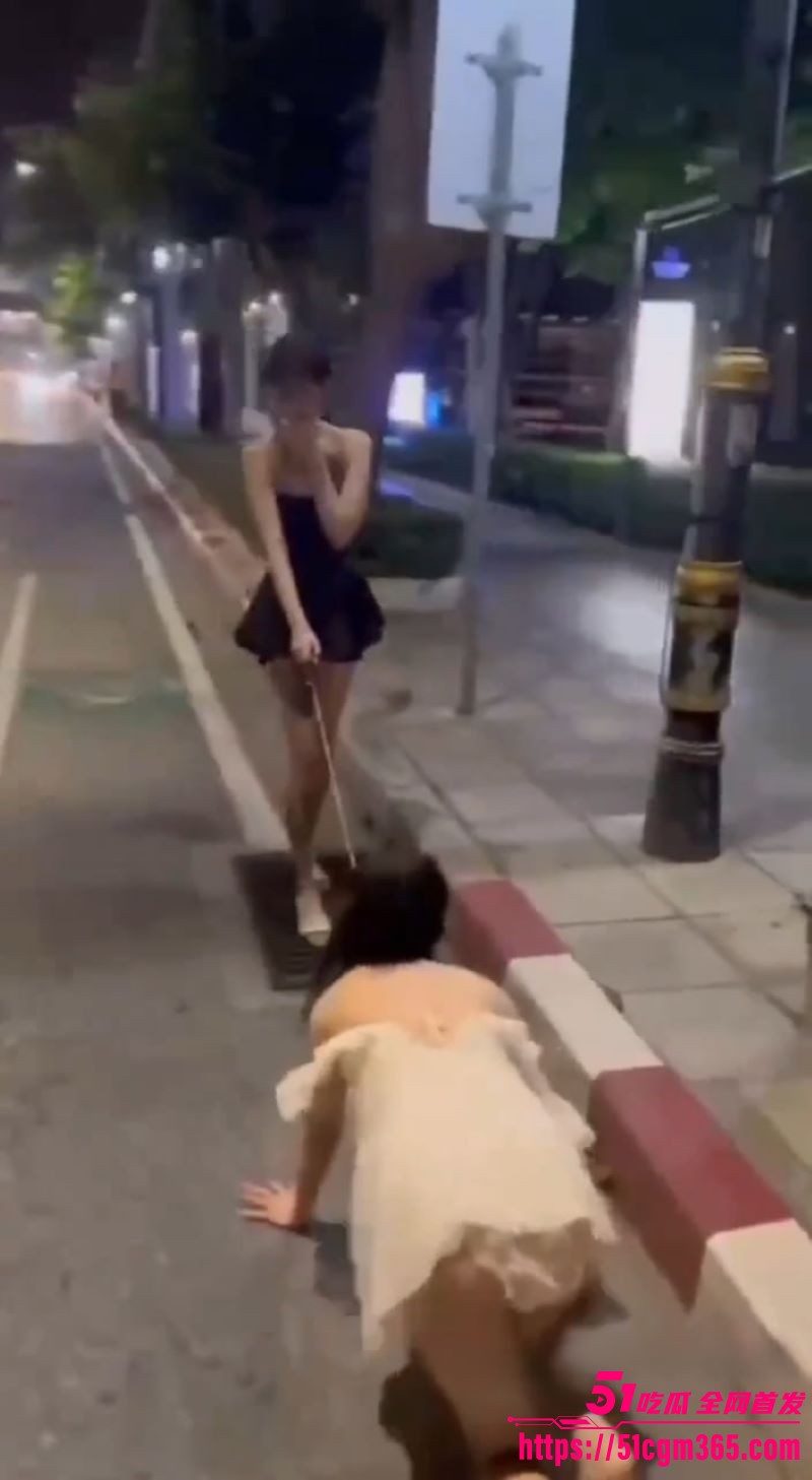 广东街头小仙女爬行调教 5