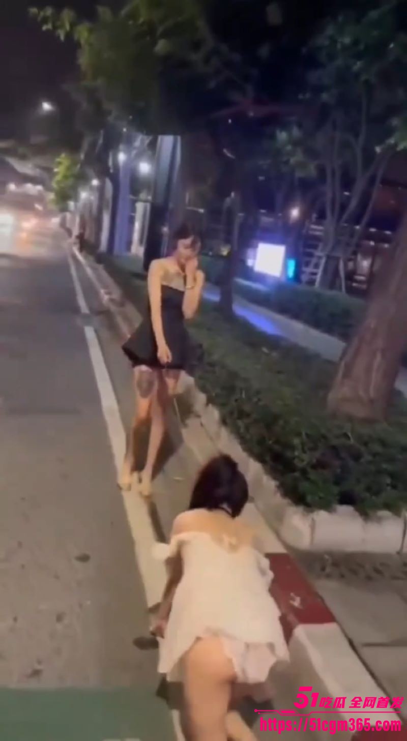 广东街头小仙女爬行调教 6