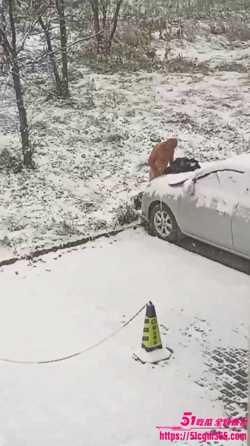大雪纷飞情侣引擎盖狂干 2