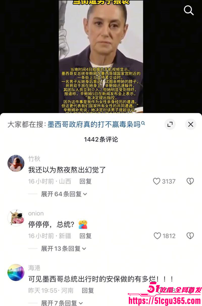 墨西哥女总统谢因鲍姆街头遭醉汉咸猪手 4