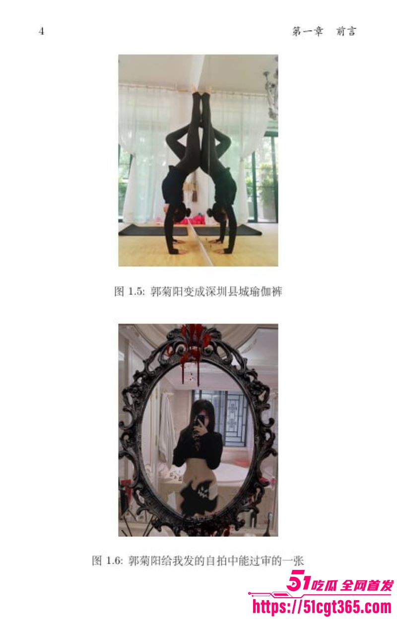 清华姚班毕业生李新野最新论文《人妻约会指南》 14