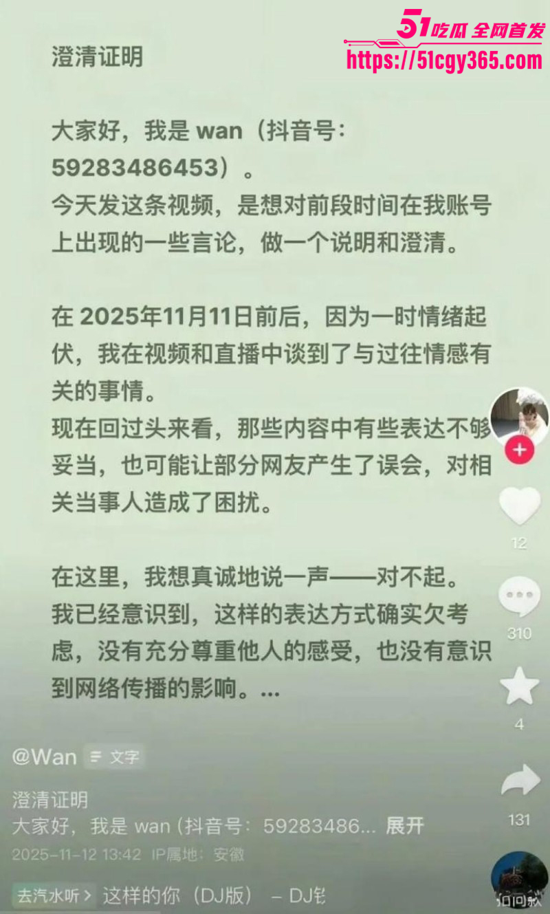 抖音爆火wan姐大瓜原视频完整版013