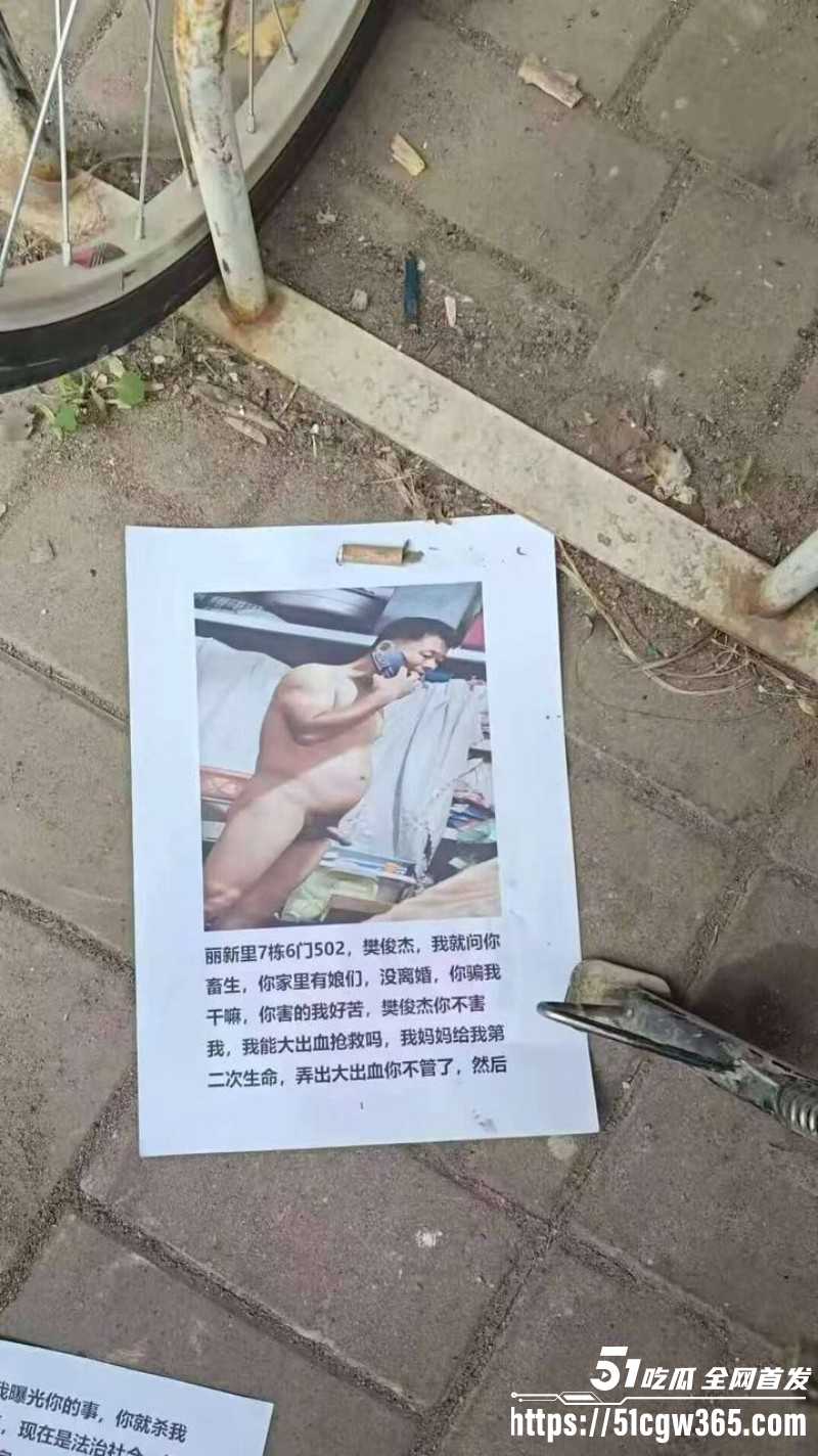 天津丽新里小区 樊俊杰 为约炮哄骗少妇称已离婚 被印传单业主群曝光 手机内性爱视频无数 堪称津门第一渣男！