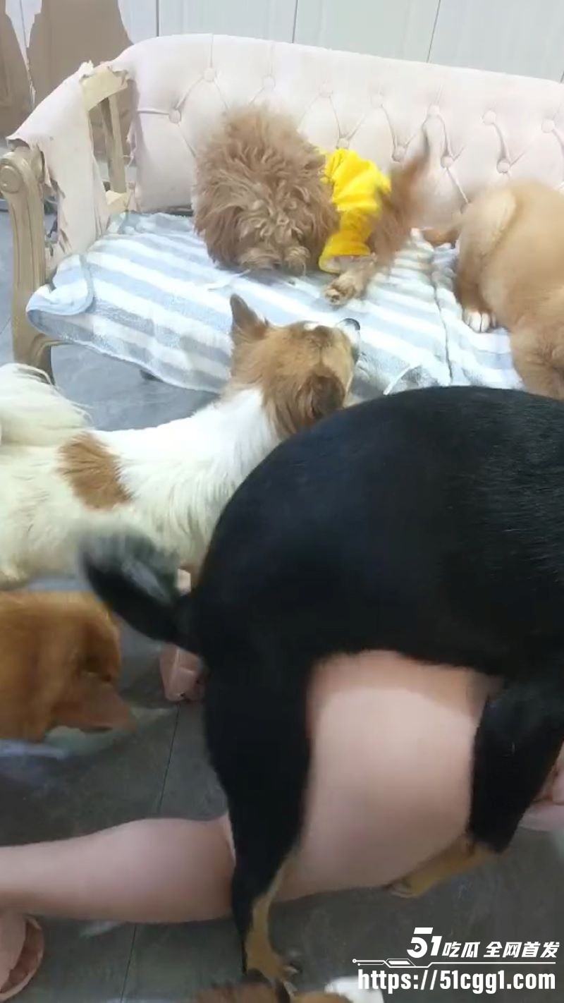 小仙女发情和狗做爱 6