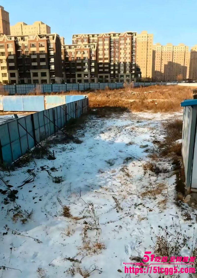 吉DR3855车震大瓜火爆全网 40岁肥臀老阿姨被00后小伙后入爆操 偷拍视频直接封神！