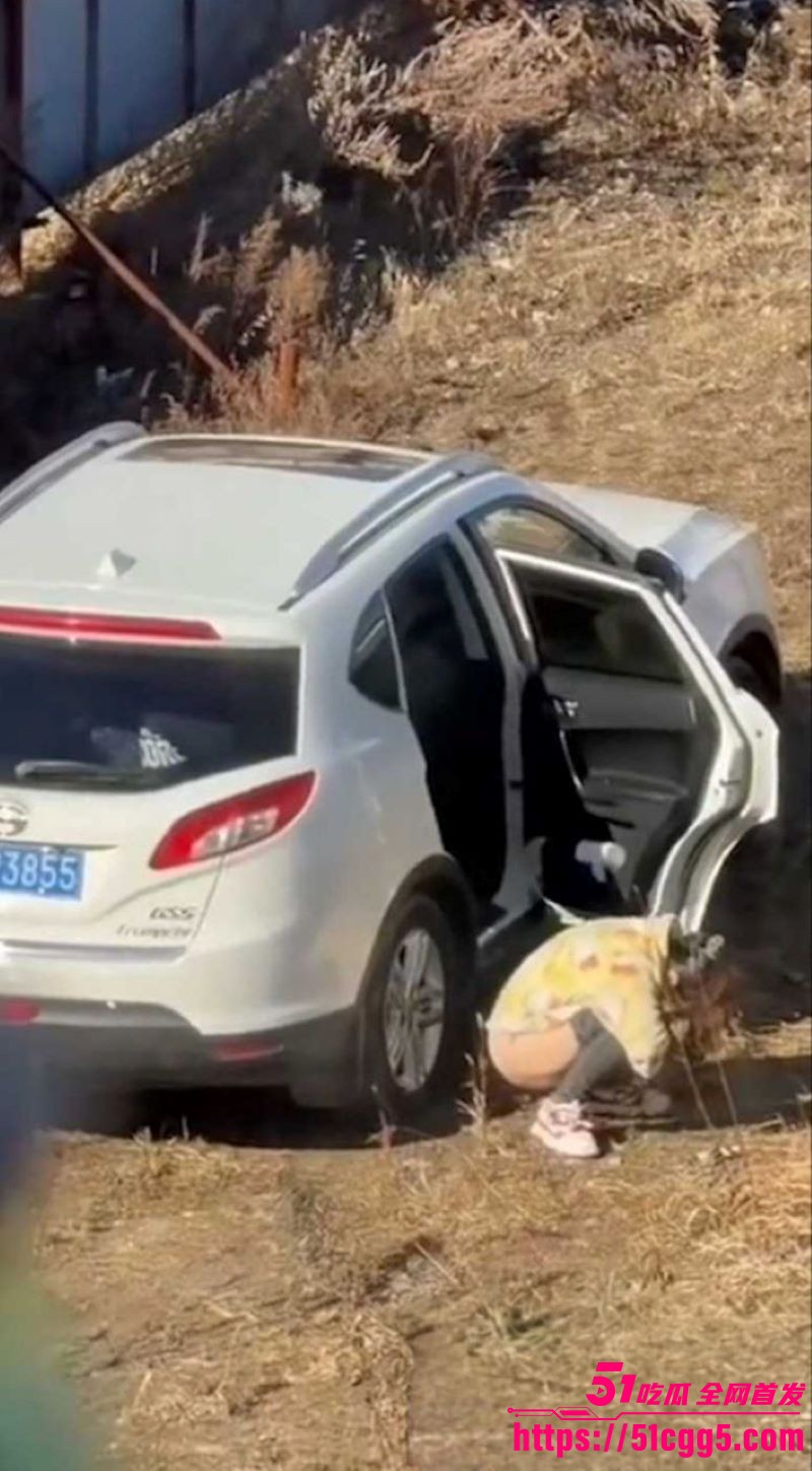 吉DR3855车震原视频 4