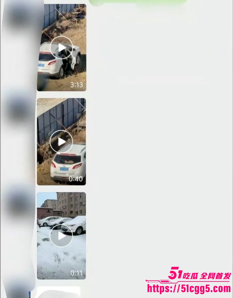 吉DR3855车震原视频 5