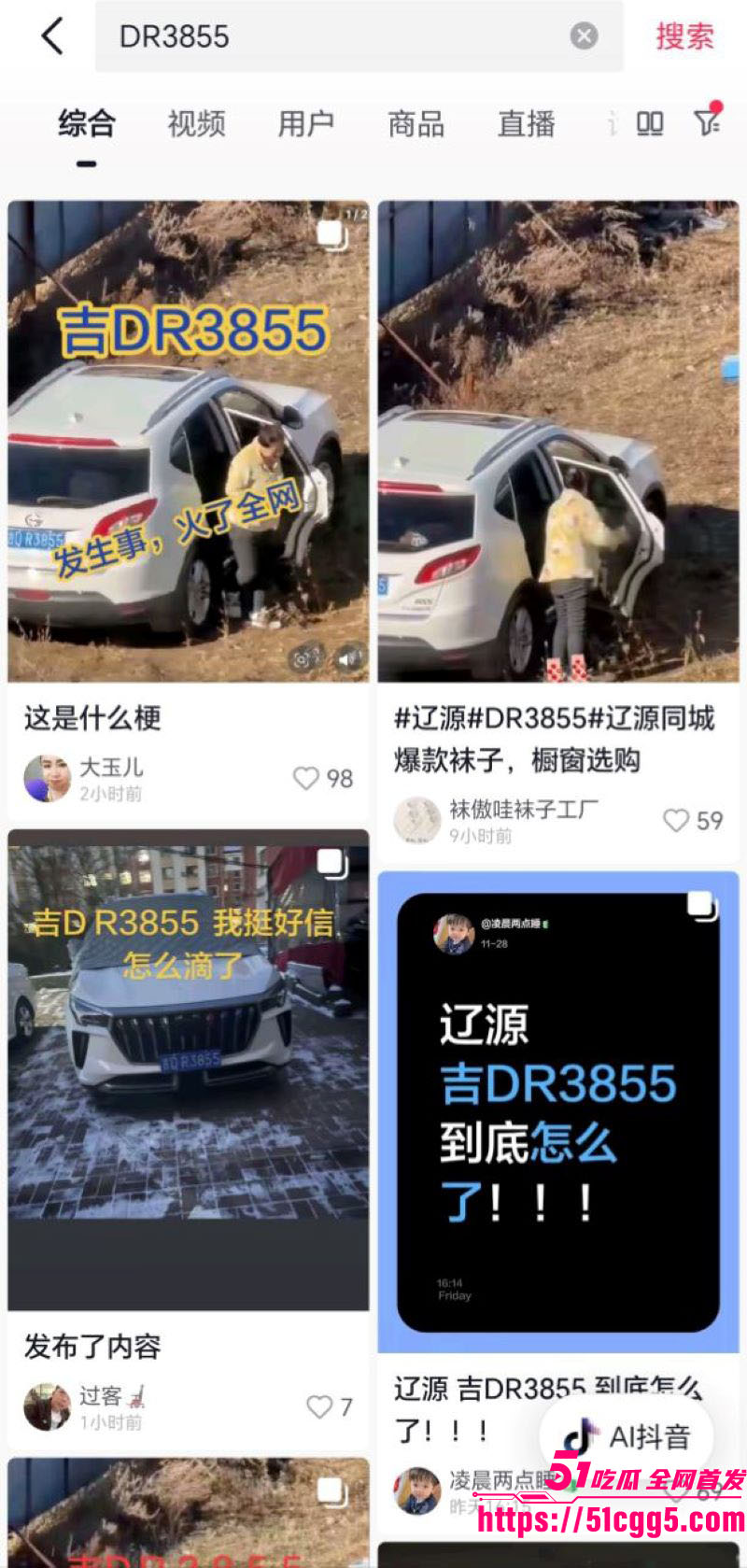 吉DR3855车震原视频 7