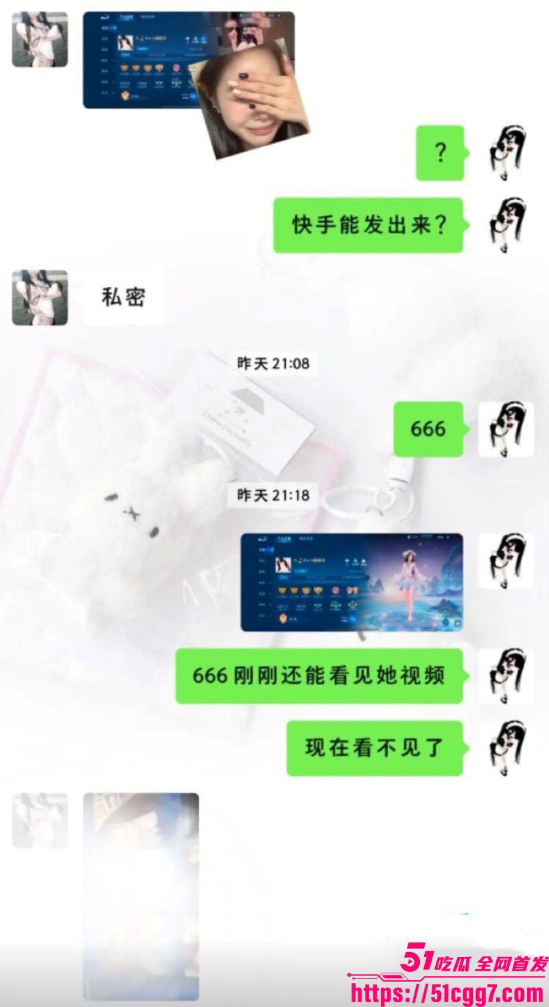 抖音热搜王者荣耀粉粉犬设置不雅漏逼游戏背景 13