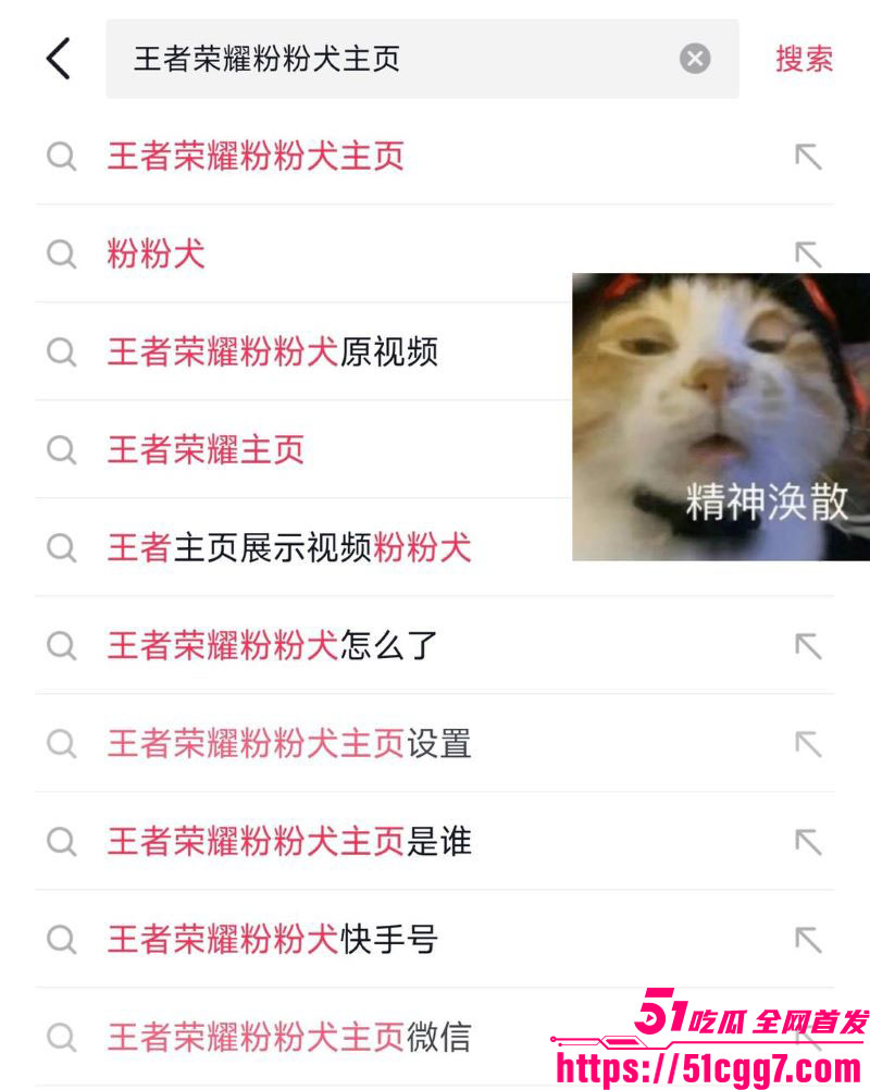 抖音热搜王者荣耀粉粉犬设置不雅漏逼游戏背景 15