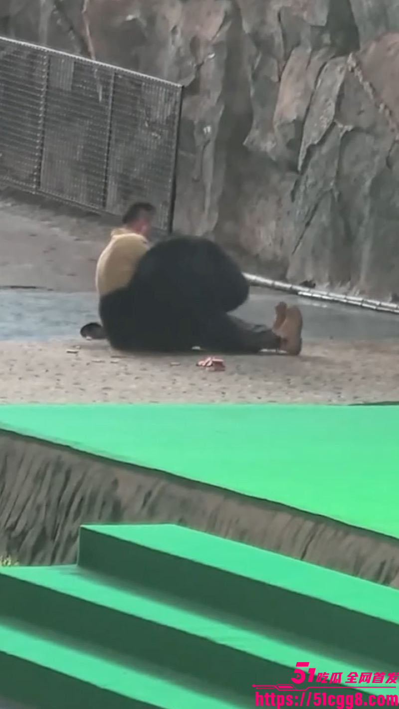 杭州野生动物园惊魂 2