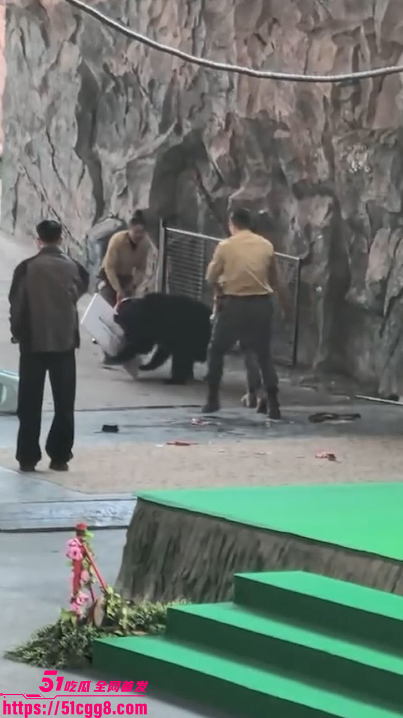 杭州野生动物园惊魂 3