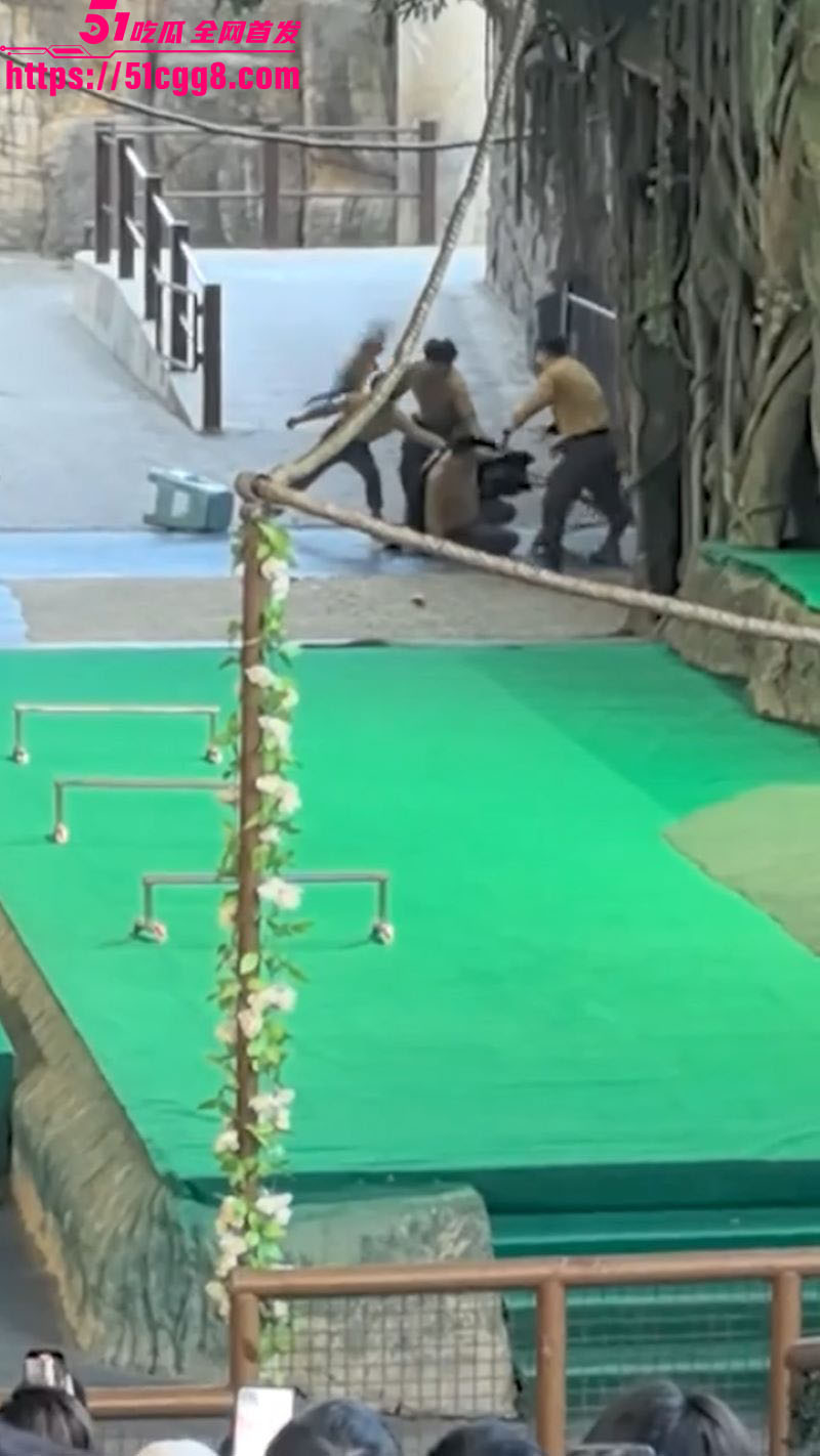 杭州野生动物园惊魂 5