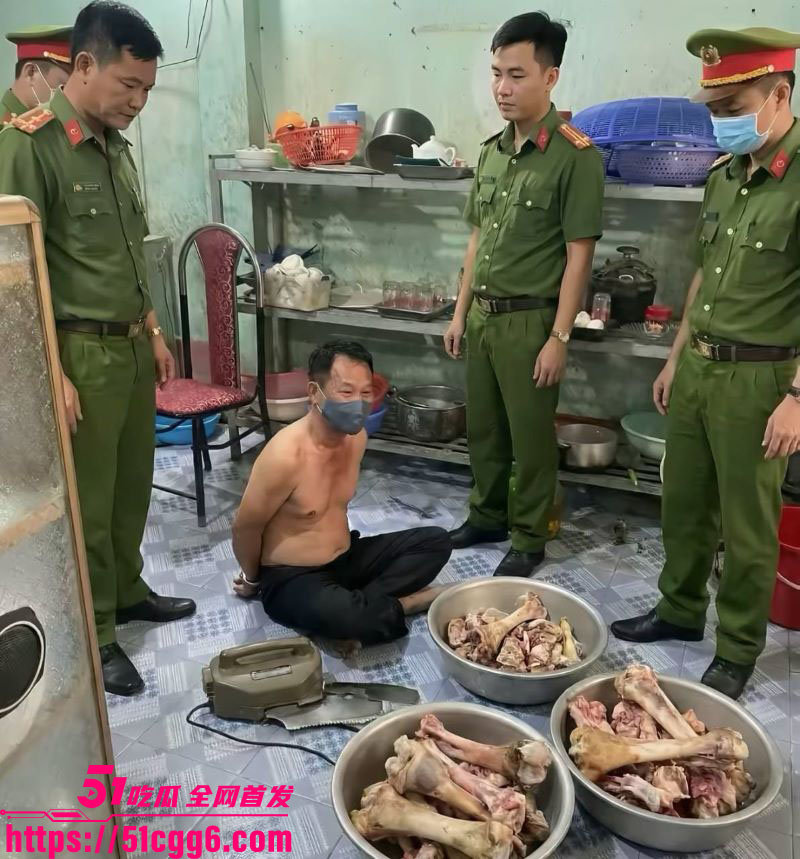 越南屠夫惊天后续 5