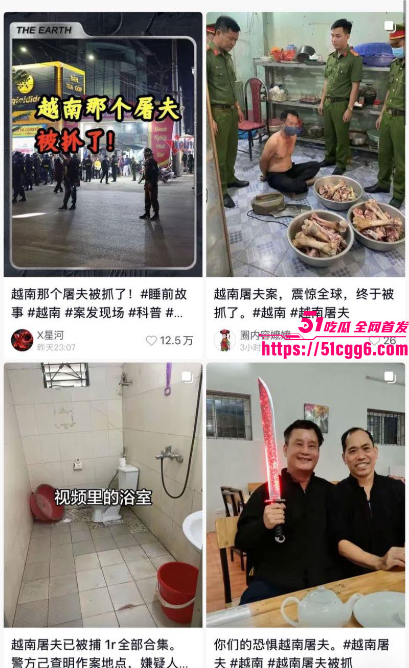 越南屠夫惊天后续 7