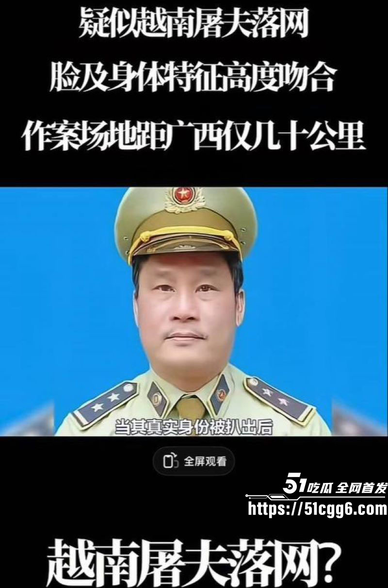 越南屠夫惊天后续 16