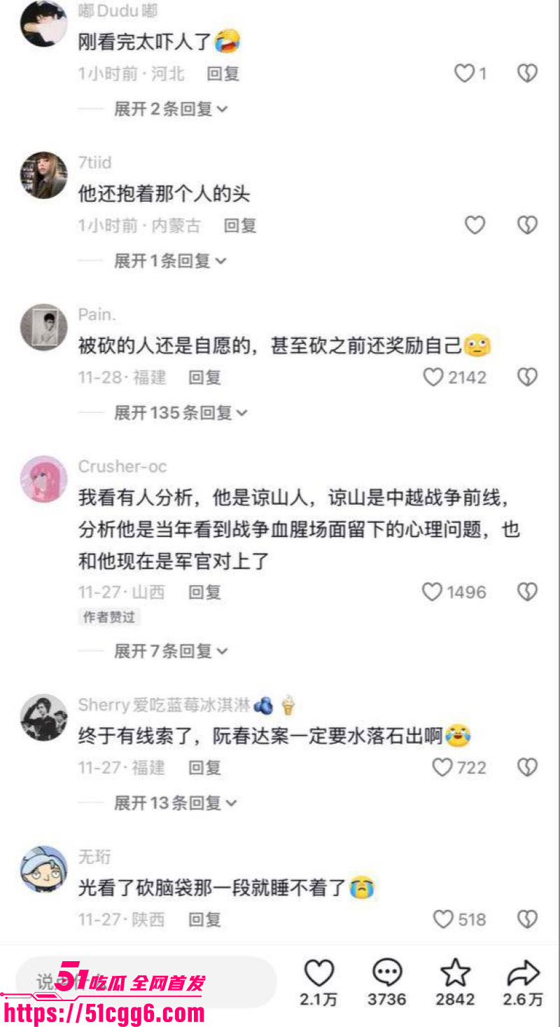 越南屠夫惊天后续 24