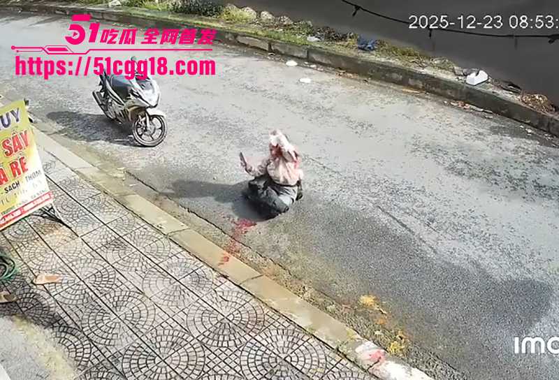 越南当街捅人视频流出 7 拷贝