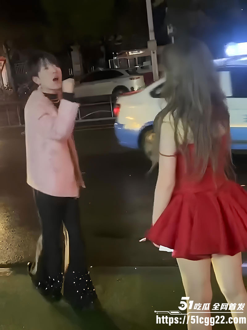 武汉街头情侣互撕4