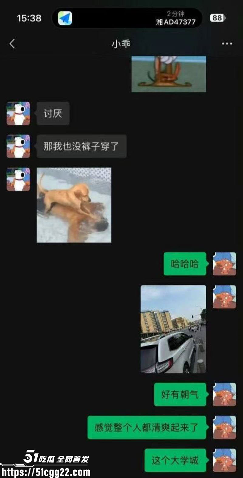 抖音60万粉TS网红捷宝嗯嗯哒黑料流出 22