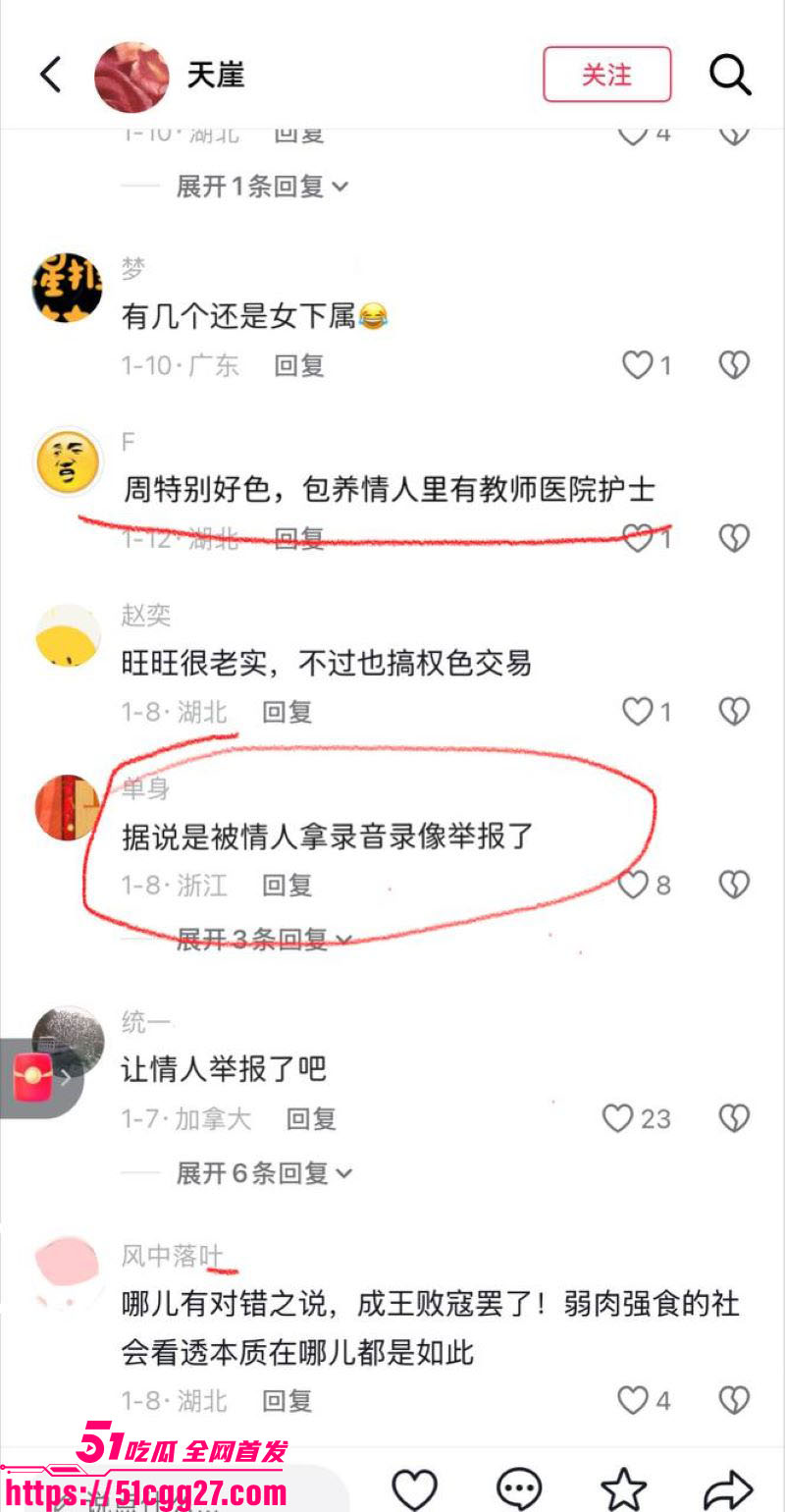 武汉前市长周先旺塌房实锤 24