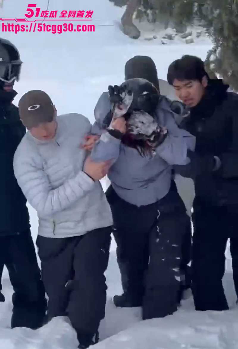 新疆可可托海 雪豹伤人现场视频流出 滑雪妹子瞬间被扑倒 头盔挡住致命一咬！