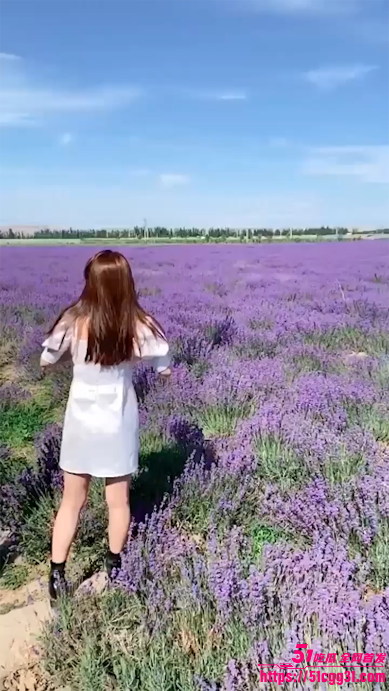 1月26日