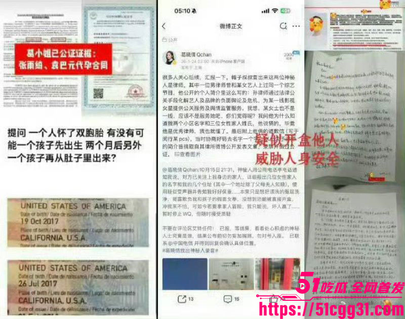 张雨绮代孕丑闻登热搜 14