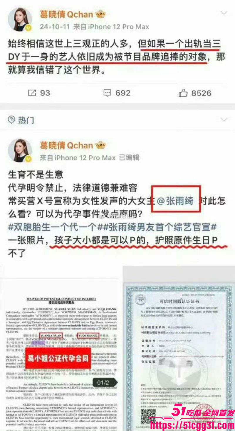 张雨绮代孕丑闻登热搜 24