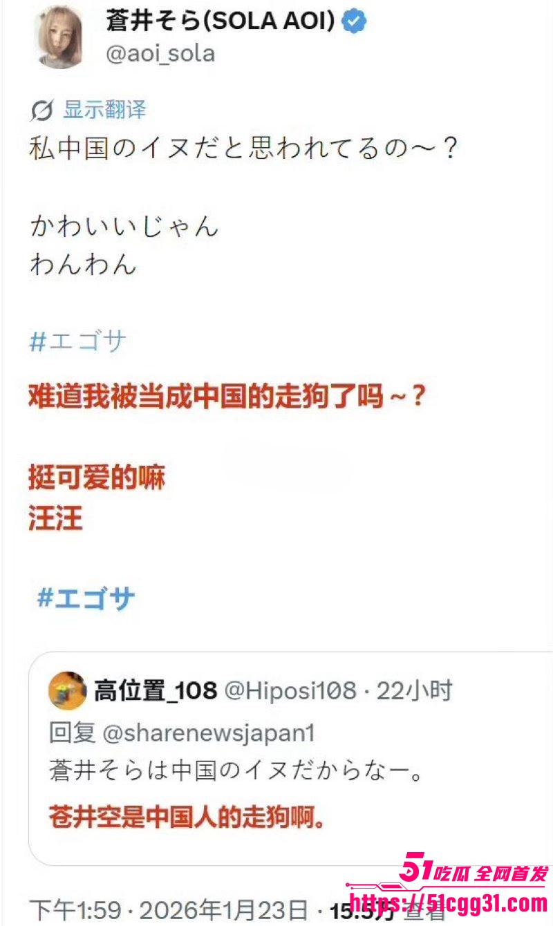 日本女优苍井空被日本人辱骂中国人的狗 13