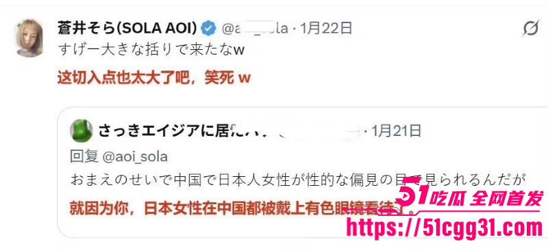 日本女优苍井空被日本人辱骂中国人的狗 15