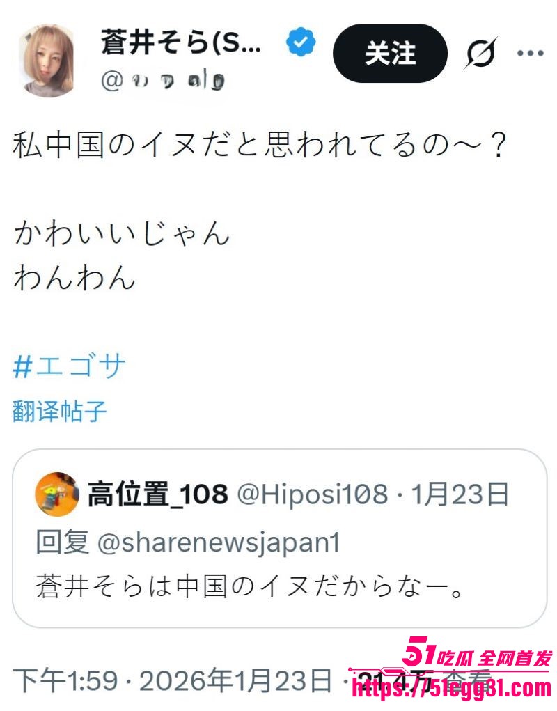 日本女优苍井空被日本人辱骂中国人的狗 17