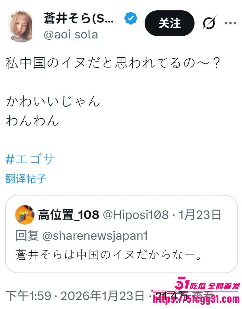 日本女优苍井空被日本人辱骂中国人的狗 19
