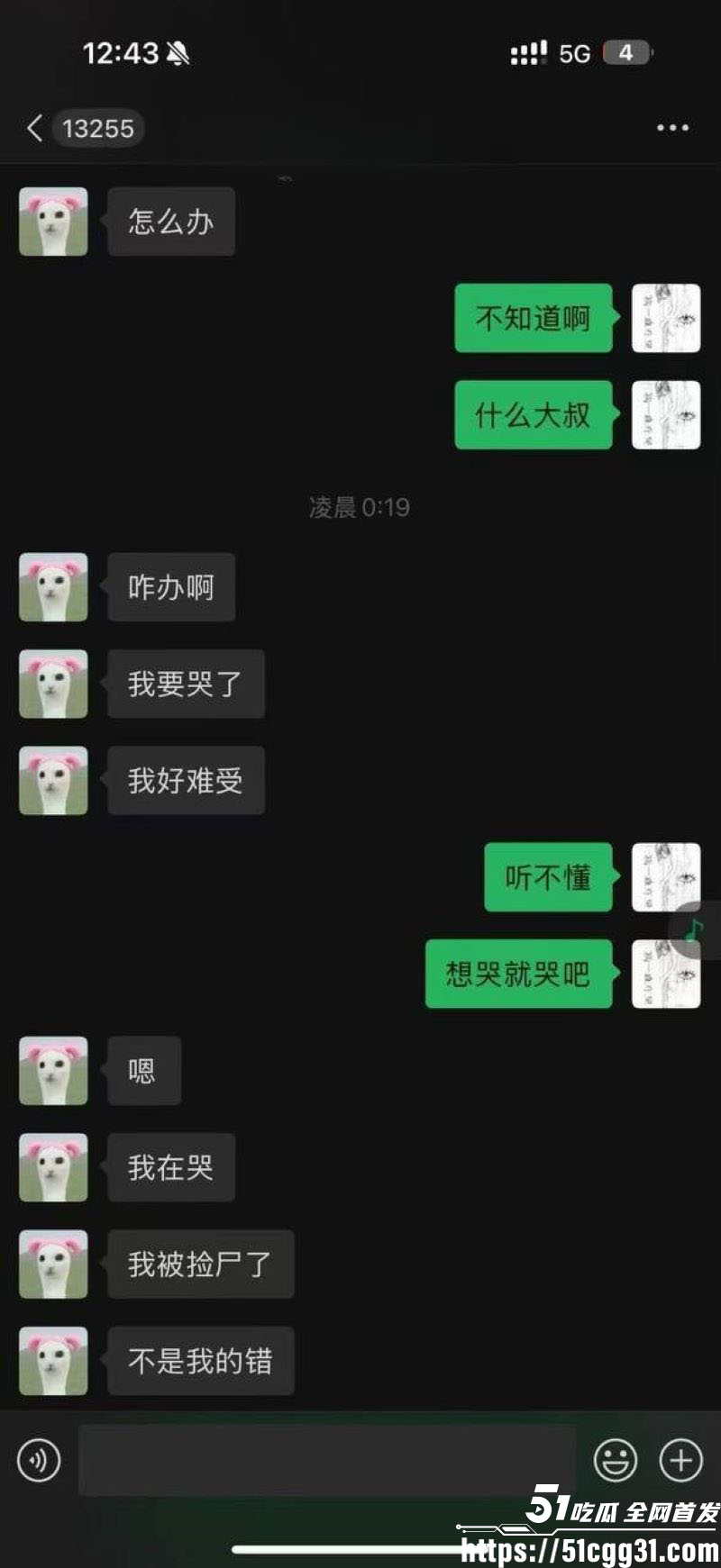 抖音地雷系CP吉他张×小帕旧瓜复燃 27