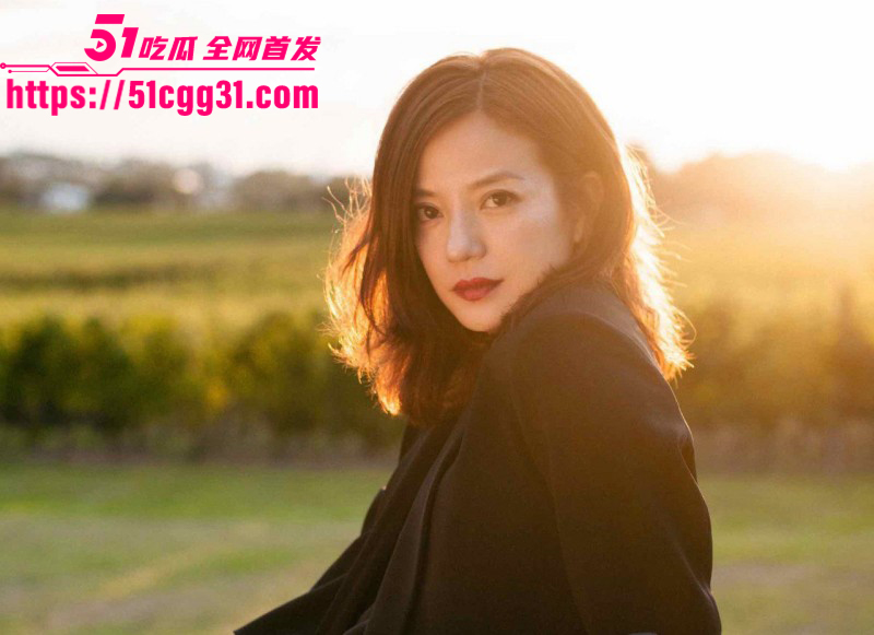 东南亚诈骗园区赵薇李湘洗钱事件07