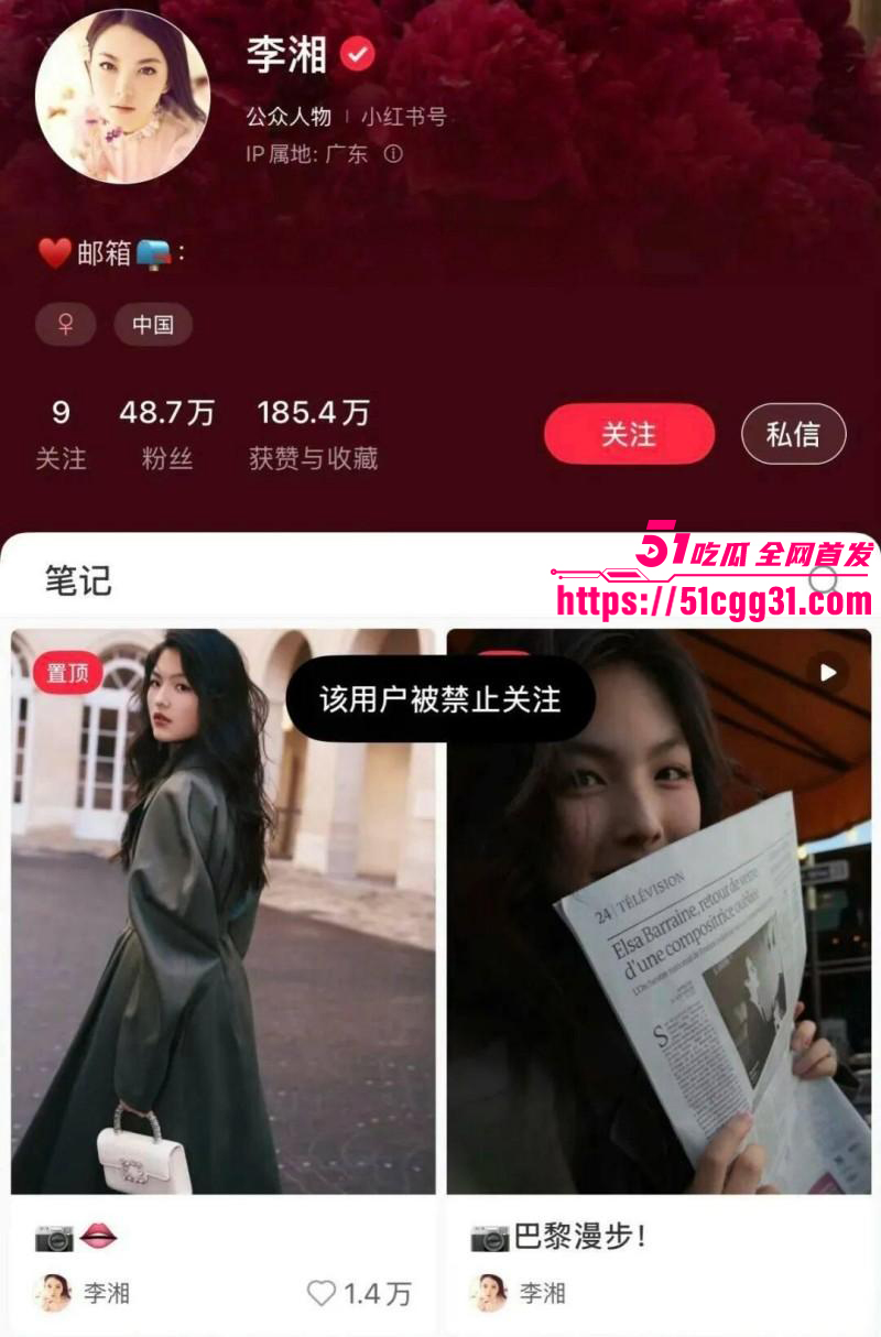 东南亚诈骗园区赵薇李湘洗钱事件011