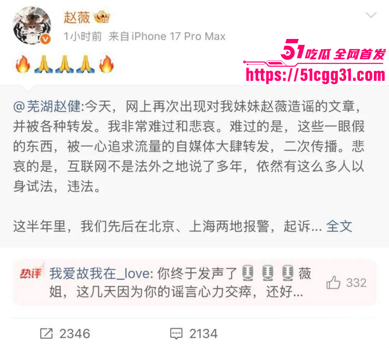 东南亚诈骗园区赵薇李湘洗钱事件016