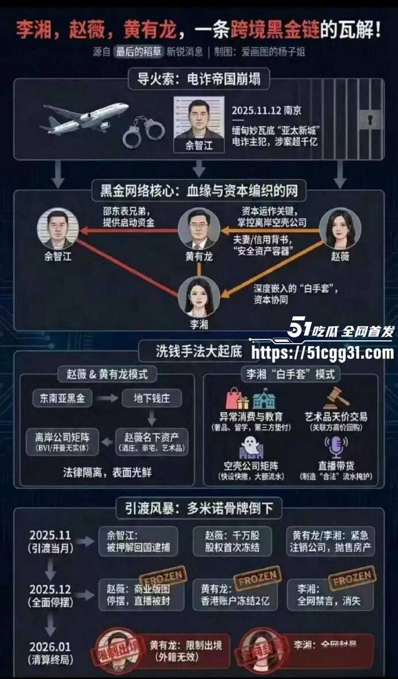 东南亚诈骗园区赵薇李湘洗钱事件021
