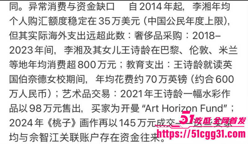 东南亚诈骗园区赵薇李湘洗钱事件024
