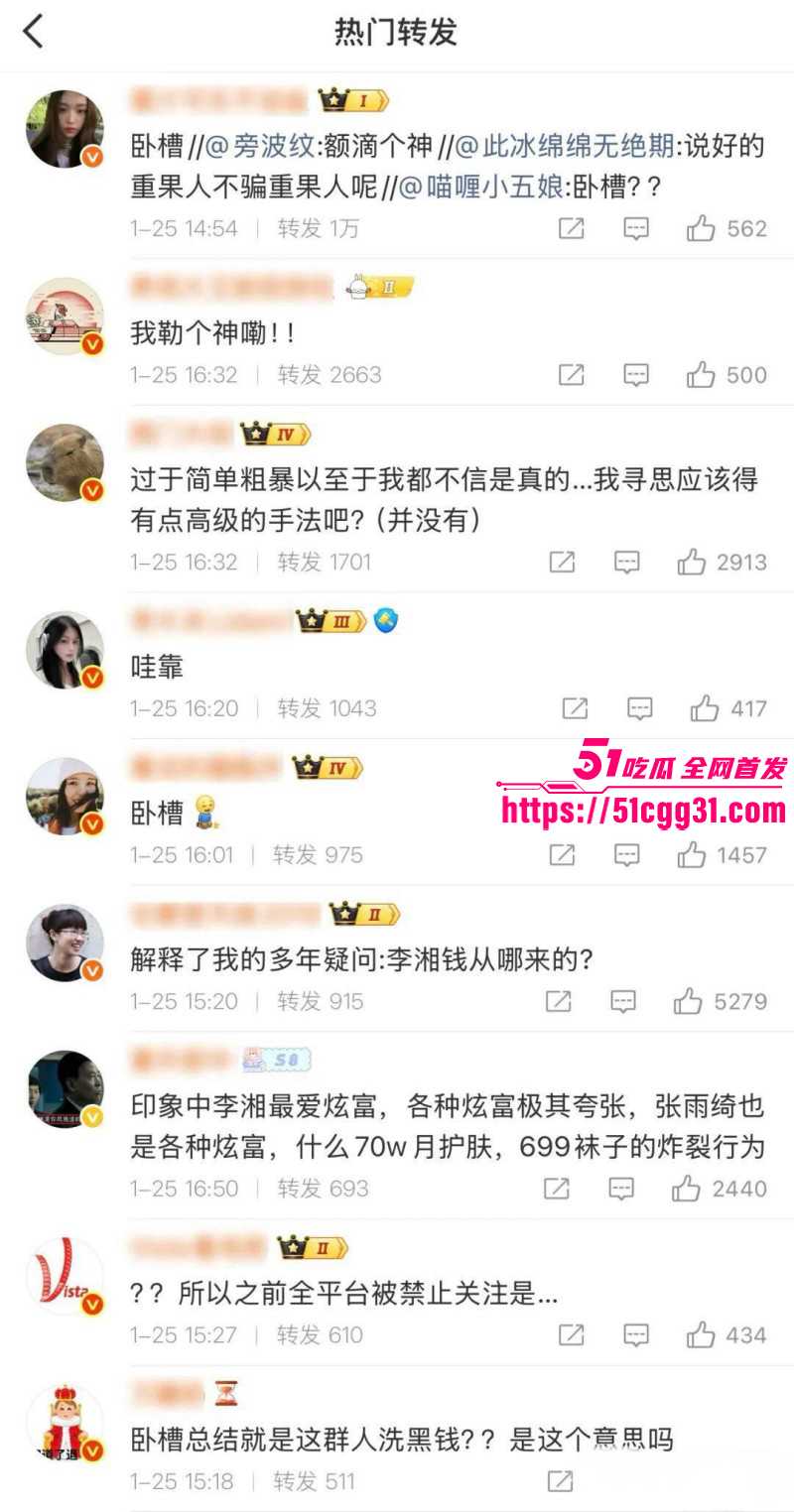 东南亚诈骗园区赵薇李湘洗钱事件026