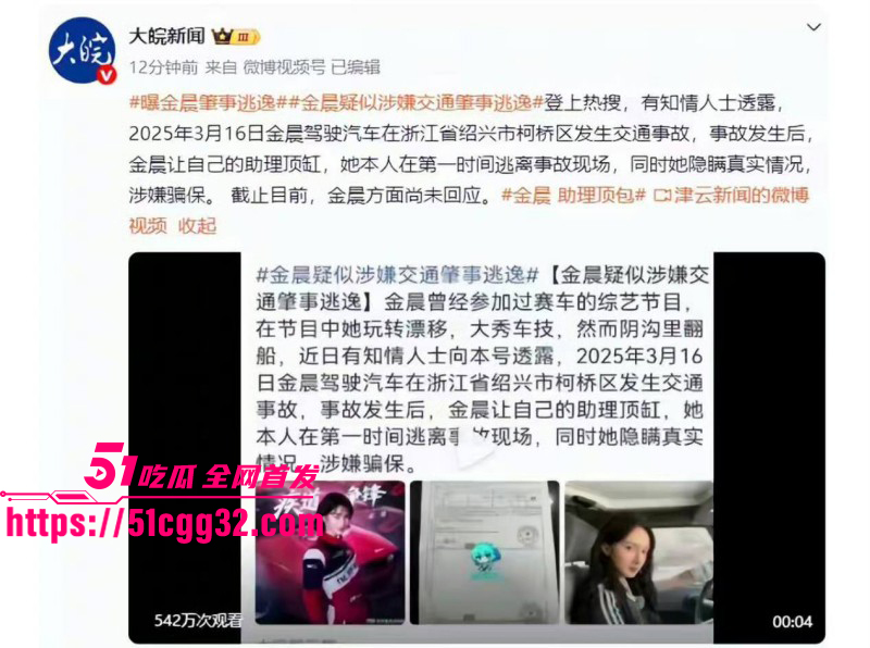 金晨被曝光肇事逃逸顶包骗保016