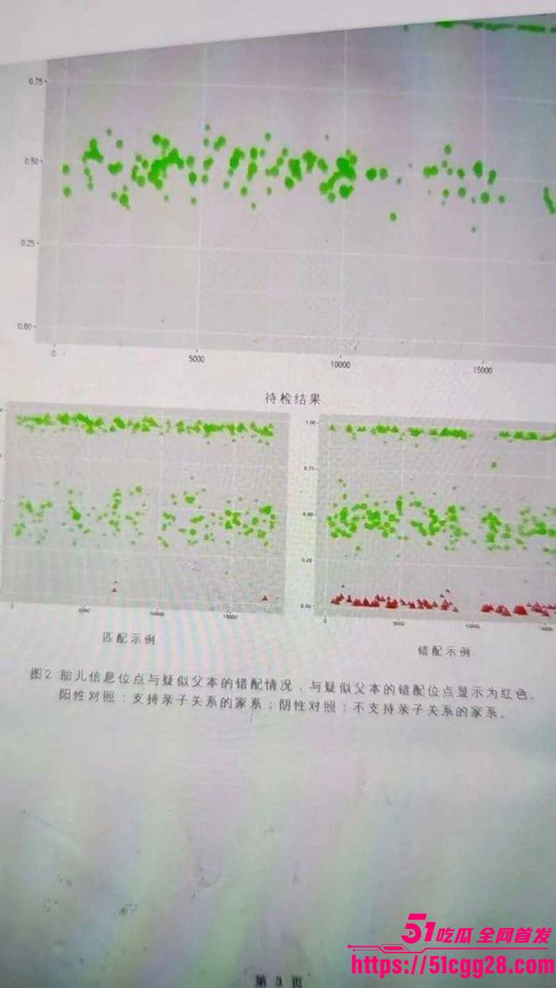 广发基金总经理杨冬被女分析师谭珺曝光028