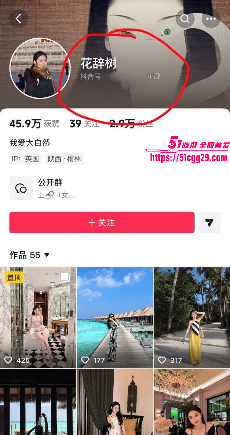 假富二代真男名媛李瑞滨塌房事件 3