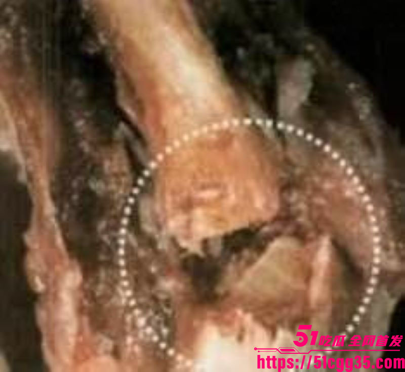 奈飞拍摄爱泼斯坦性侵纪录片 13