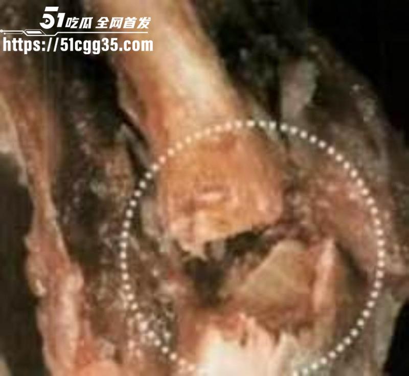 爱泼斯坦萝莉岛图片曝光030
