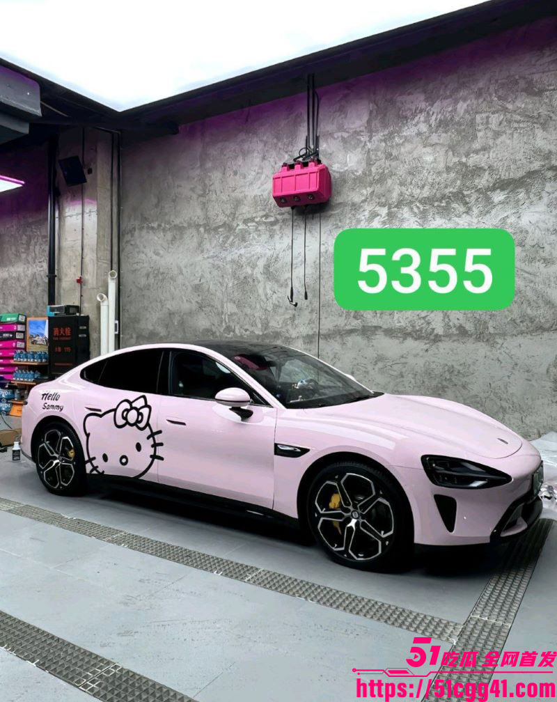 广西南宁金利陪酒女韦某希性爱视频曝光 6