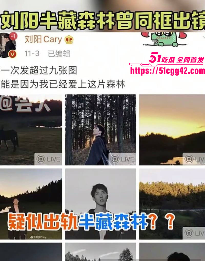 阿沁直播重锤刘阳出轨半藏森林 8