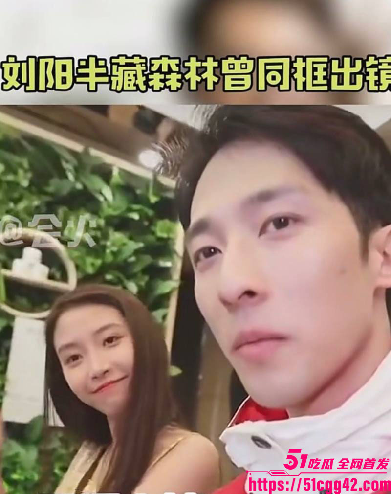 阿沁直播重锤刘阳出轨半藏森林 7