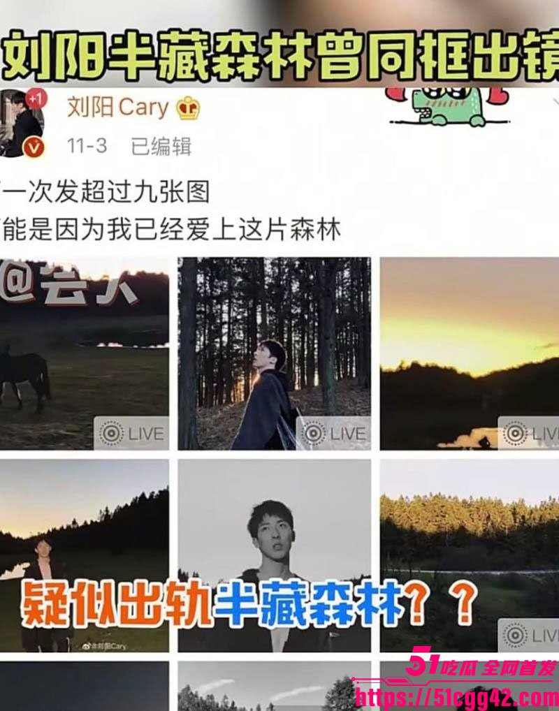 阿沁直播重锤刘阳出轨半藏森林 11